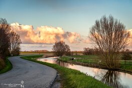 Kunstexposities in bibliotheek van Tuitjenhorn