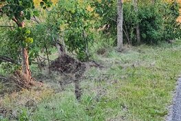 Motorrijder gewond in bocht Stolperweg