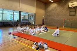Judo-examens EBI-Sports