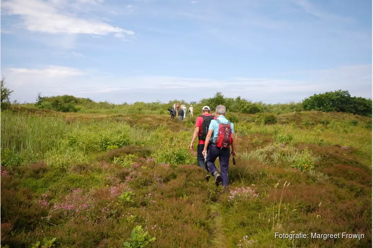 Zomerwandeling door bloemrijk Zwanenwater