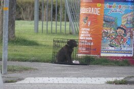 Brommobiel over de kop in Schagen
