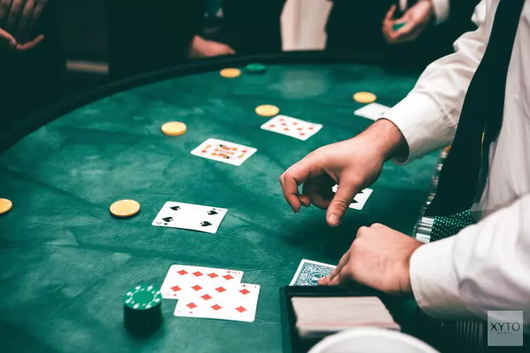 Casino&#39;s in de kop van Noord Holland
