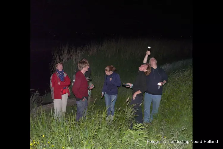 Nacht van de Nacht: Stilte en vleermuizen in Eendenkooi &#39;t Zand