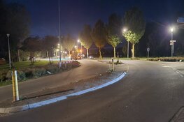 Automobilist vliegt uit de bocht in Dirkshorn