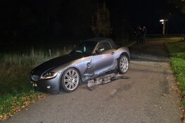 Automobilist vliegt uit de bocht in Dirkshorn