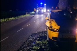 Pony overleden bij aanrijding in Warmenhuizen