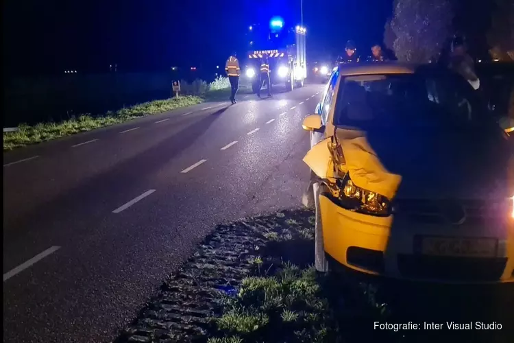 Pony overleden bij aanrijding in Warmenhuizen