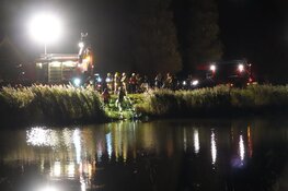 Pony overleden bij aanrijding in Warmenhuizen