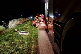 Pony overleden bij aanrijding in Warmenhuizen