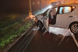 Auto vliegt uit de bocht in Waarland