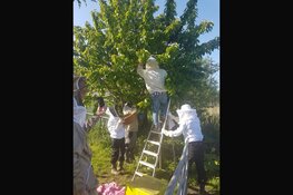 Nieuwe lichting imkers uit regio Alkmaar/Zaanstad kijken uit naar mooi bijenjaar 2023