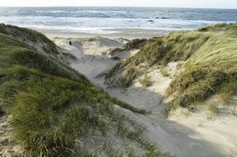 Wandel bij zonsopkomst met de gids door Botgat bij Groote Keeten