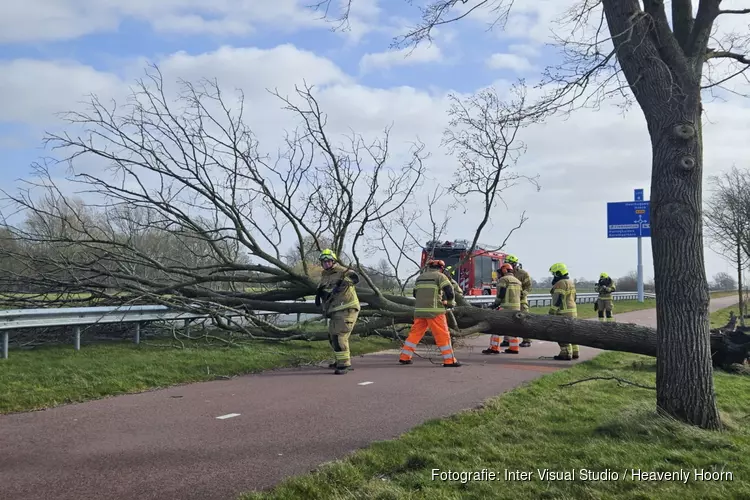 Boom omgewaaid op fietspad langs N241 bij Schagen