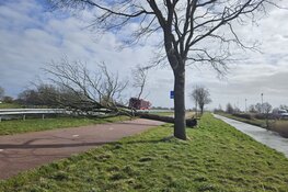 Boom omgewaaid op fietspad langs N241 bij Schagen
