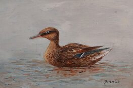 Kunstexpositie Bea Bonnema in bibliotheek Tuitjenhorn