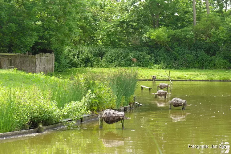 Beleef het voorjaar in Eendenkooi &#39;t Zand