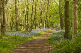 Open dag in sprookjesachtig Wildrijk bij Sint Maartensvlotbrug