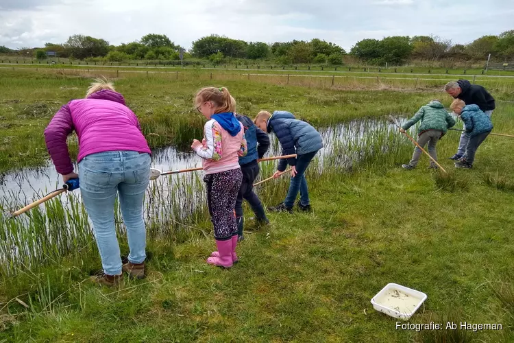 Speuren naar waterbeestjes in het Zwanenwater