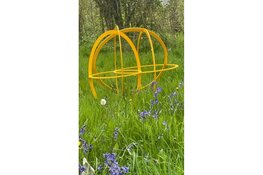 Art Wildrijk: Niet Zeuren, Kleuren!