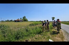 Te warm weer: schaap neemt bad in sloot