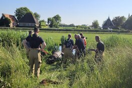 Brandweer haalt paard uit het water in Schagen