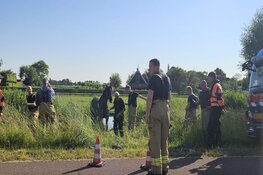 Brandweer haalt paard uit het water in Schagen