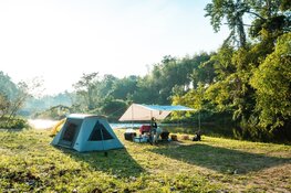 Vraag een gratis tekenpas aan bij Landschap Noord-Holland