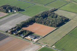 Welke vleermuizen zie je in Eendenkooi &#39;t Zand?