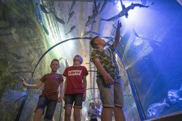 Fort Kijkduin sleept nominatie binnen voor ‘Leukste Uitje’ van de provincie!