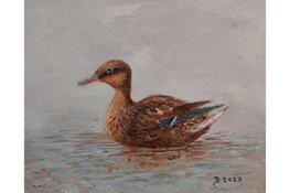 Schilderijen en Pixi-boekjes in Bibliotheek Schagen