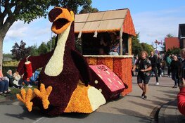 Corso is een dagje uit