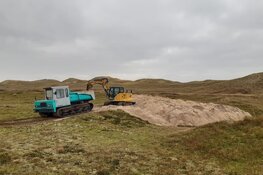 Invasieve exoten opruimen in de Noordduinen