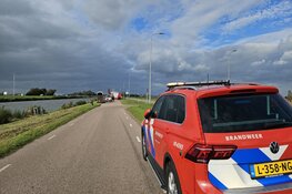 Brandweer weet paard uit water te redden