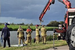 Brandweer weet paard uit water te redden