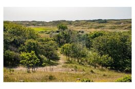 Natura 2000-beheerplannen van 4 duingebieden verlengd