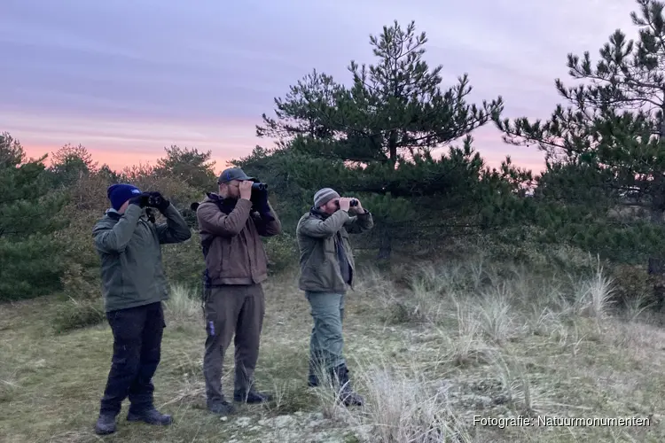 Exclusieve wintergasten vogelexcursie in het Zwanenwater