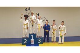 Veel prijzen Judoschool EBI-Sports in Heiloo