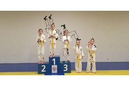 Veel prijzen Judoschool EBI-Sports in Heiloo