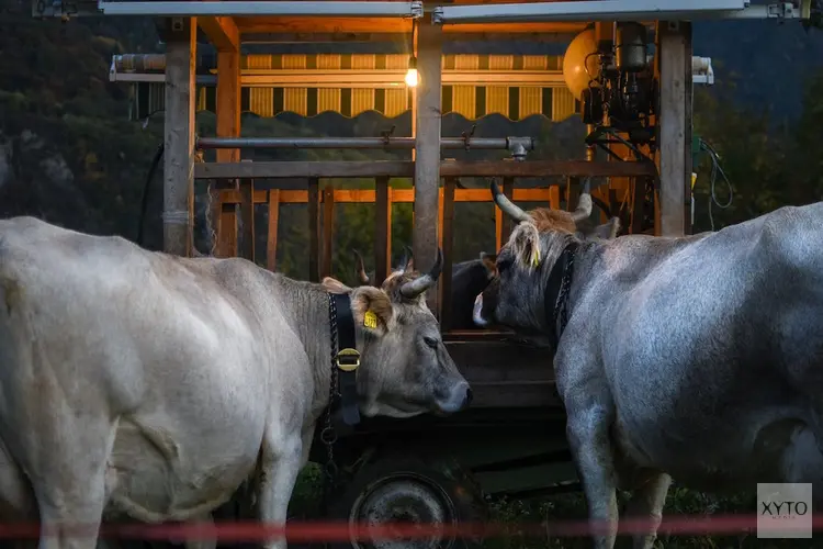 Hoe vind ik een geschikte baan in de agrarische sector?