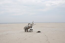 Kunst in bibliotheek Schagen