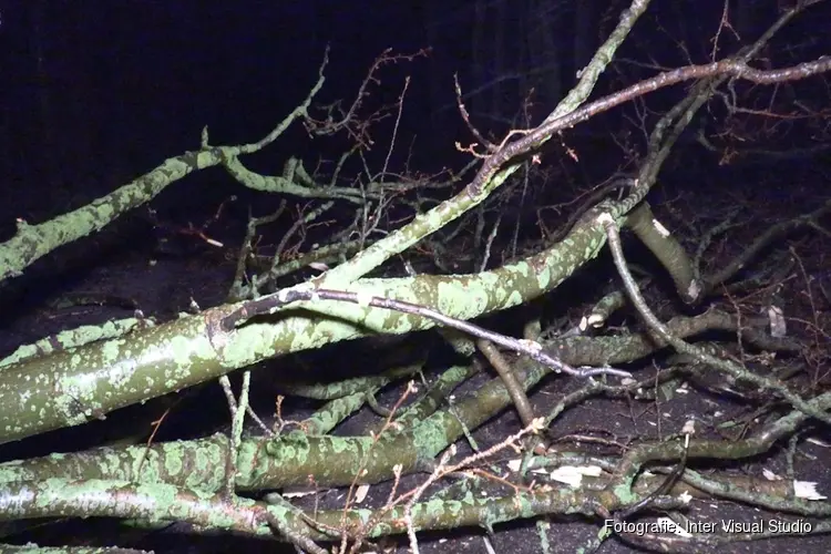 Storm Isha: Korte Ruigeweg in Schagerbrug geblokkeerd door vallende takken