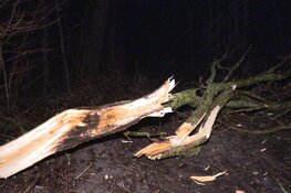 Storm Isha: Korte Ruigeweg in Schagerbrug geblokkeerd door vallende takken