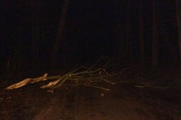 Storm Isha: Korte Ruigeweg in Schagerbrug geblokkeerd door vallende takken