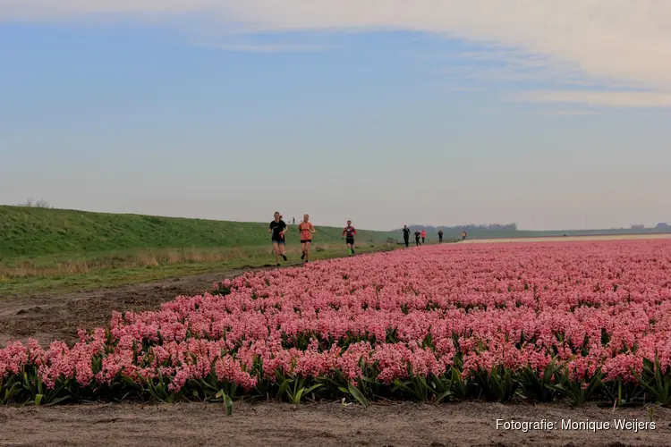 Bloeiend Zijpe De tuin van Schagen