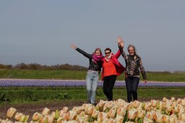 Bloeiend Zijpe De tuin van Schagen