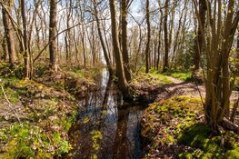 Open dag in sprookjesachtig Wildrijk bij St. Maartensvlotbrug