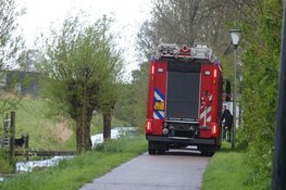 Schaap in nood, brandweer schiet te hulp
