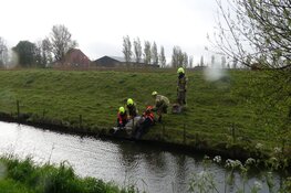 Schaap in nood, brandweer schiet te hulp