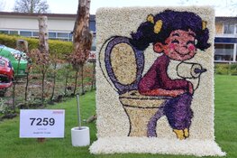 Mozaïek ‘Simply the Best’ is Nederlands Kampioen van de Bloemendagen 2024