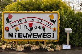 Mozaïek ‘Simply the Best’ is Nederlands Kampioen van de Bloemendagen 2024